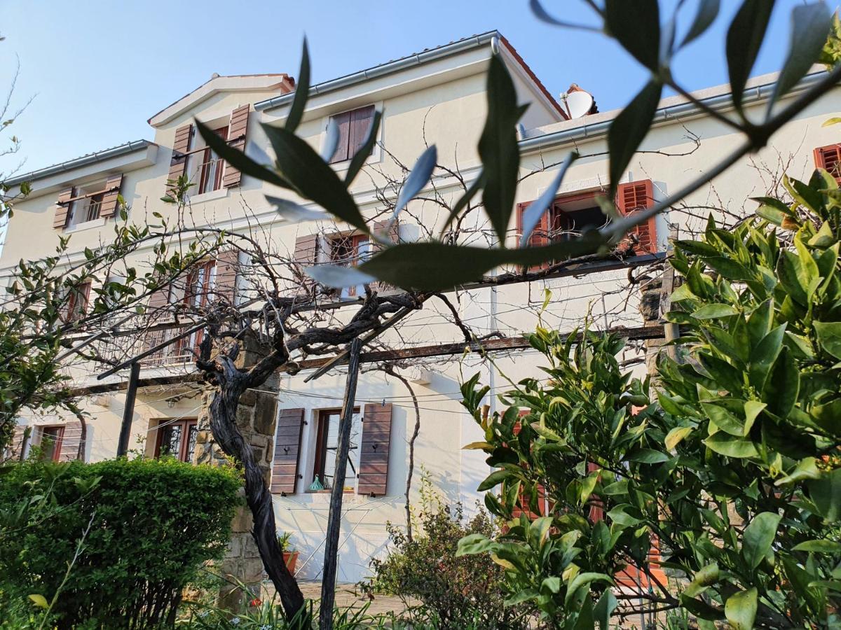 Vila Rosa Portoroz Exterior photo